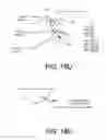 Fig. 24 - BIOINFORMATICS SYSTEMS, APPARATUSES, AND METHODS FOR PERFORMING SECONDARY AND/OR TERTIARY PROCESSING