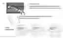 Fig. 01 - System and method for unlocking devices associated with a carrying bag