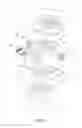 Fig. 04 - Fingerprint identification module