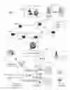 Fig. 01 - System and method for managing a surveillance system