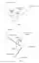 Fig. 04 - Method and apparatus for video surveillance