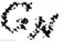 Fig. 03 - Image collation device, image collation method, and program