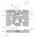 Fig. 01 - Neuromorphic network