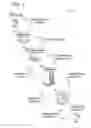 Fig. 02 - Methods and systems for generating a transaction lifecycle output for a payment card transaction
