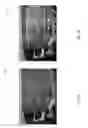 Fig. 09 - Systems and methods for selective enhancement of a region of interest in an image