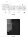 Fig. 06 - Image analysis for assessing image data