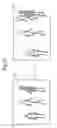 Fig. 25 - Irradiation system, irradiation method, and program storage medium