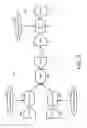 Fig. 04 - Constraint evaluation in directed acyclic graphs