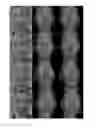 Fig. 01 - Image regularization and retargeting system