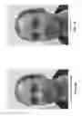 Fig. 19 - Modeling of a user's face