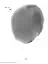 Fig. 06 - Method, system and apparatus for adjusting image data to compensate for modality-induced distortion