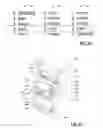 Fig. 13 - Gaming Machine and Method Incorporating Display of Possible Future Events
