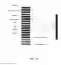 Fig. 04 - Identity verification method and apparatus based on voiceprint