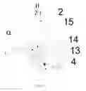 Fig. 07 - Baffle structure for channel
