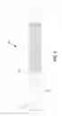 Fig. 06 - Electrical penetrator assembly
