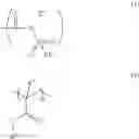 Fig. 05 - Polymerizable monomer, polymer compound, biological electrode composition, biological electrode, and method for producing biological electrode