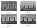 Fig. 06 - Formation of SiOCN thin films