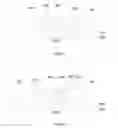 Fig. 06 - Array substrate and manufacturing method thereof