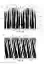 Fig. 02 - Optical sensing with tessellated diffraction-pattern generators