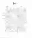 Fig. 06 - Organic light emitting diode display device