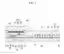 Fig. 03 - Display device