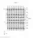 Fig. 07 - Nonvolatile memory device including multiple planes