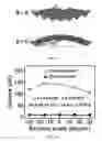 Fig. 08 - Deformable paper origami optoelectronic devices