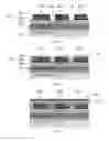 Fig. 03 - SEMICONDUCTOR LIGHT EMITTING DEVICE INCLUDING REFLECTIVE ELEMENT AND METHOD OF MAKING SAME