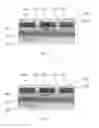 Fig. 05 - SEMICONDUCTOR LIGHT EMITTING DEVICE INCLUDING REFLECTIVE ELEMENT AND METHOD OF MAKING SAME