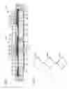 Fig. 06 - Optoelectronic lamp device and method of producing same