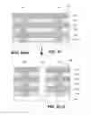 Fig. 17 - Current compliance layers and memory arrays comprising thereof