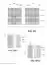 Fig. 26 - Current compliance layers and memory arrays comprising thereof