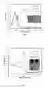 Fig. 02 - Decomposable s-tetrazine based polymers for single walled carbon nanotube applications