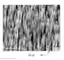 Fig. 04 - Hybrid energy storage devices including surface effect dominant sites