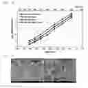 Fig. 02 - Cathode composition, cathode and fuel cell including same