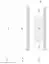 Fig. 04 - Antenna window and antenna pattern for electronic devices and methods of manufacturing the same