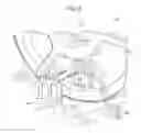 Fig. 06 - Motor