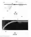 Fig. 07 - Magnetic coupling device with reflective plate and methods for use therewith