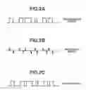 Fig. 03 - Wireless communication system, communication apparatus, and communication method