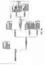 Fig. 18 - CONTENT PROVIDER NETWORK INTERFACE
