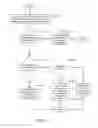Fig. 07 - Dynamic forward information base prefix optimization