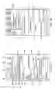 Fig. 06 - Proxied outgoing message transmission