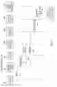 Fig. 09 - Proxied outgoing message transmission