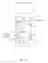 Fig. 30 - Capture and display device