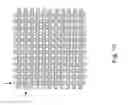 Fig. 11 - Transparent touchscreen parametric emitter