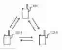 Fig. 01 - Hopping master in wireless conference
