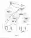 Fig. 02 - Personal security system