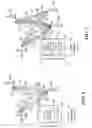 Fig. 06 - Antenna beam management for multi-connection communications