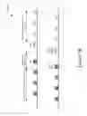 Fig. 09 - FILTERING EXTENDED RANGE FRAMES BY HIGH EFFICIENCY WIRELESS (HEW) STATIONS