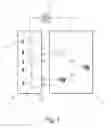 Fig. 02 - Radio access management system